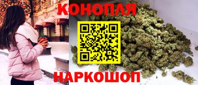 прущие грибы Чебоксары