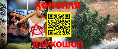 крисы Чебаркуль