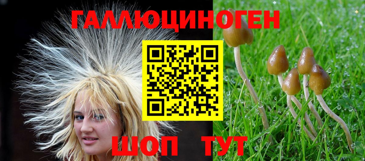 Можайск  Псилоцибиновые грибы Cubensis  Вход с VPN 